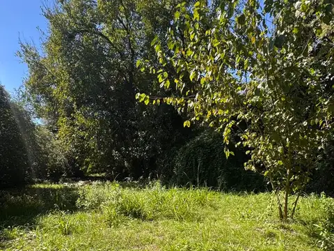 Terreno en Venta de 1355,5 m2