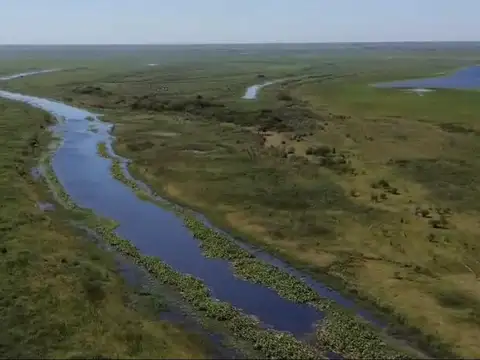 Campo en la isla frente a la ciudad de san lorenzo