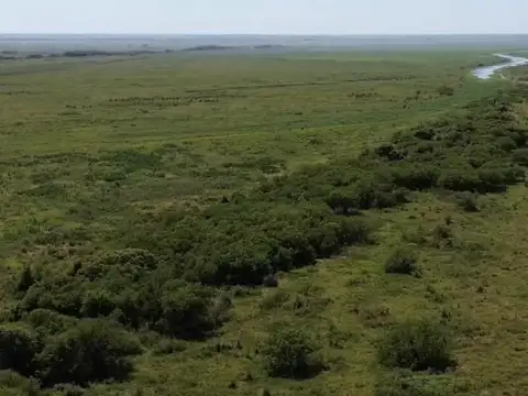 Isla ganadera frente a la ciudad de san lorenzo