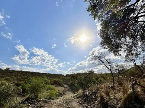 Terreno en Venta de 228142,0 m2
