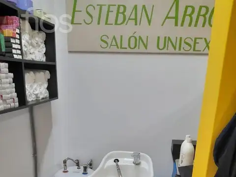 Alsina al 1500