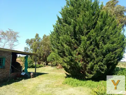 Quinta en Venta - 2 Dormitorios 1 Baño - 45000mts - Necochea
