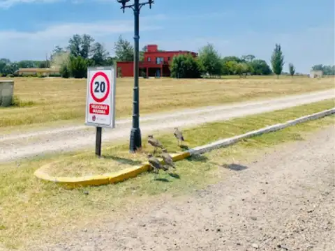 Terreno en Venta en San Vicente, USD 20.000