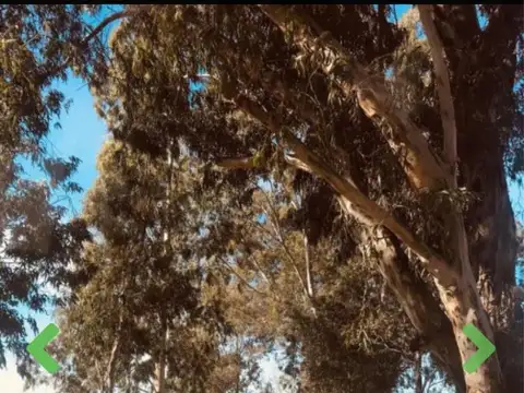 Club de Campo El Candil