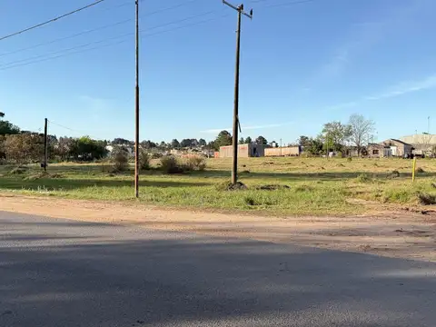 Terreno en Venta en Colonia Adela, USD 27.000