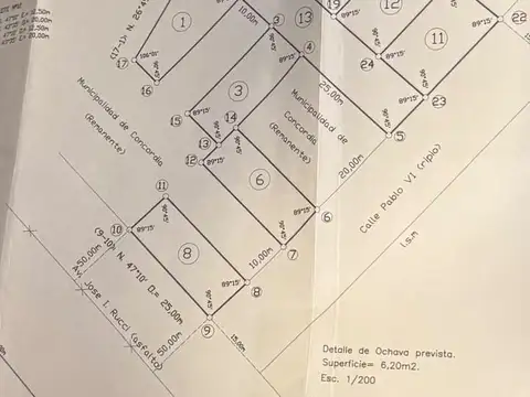 Pablo XI Y RUTA 22 100