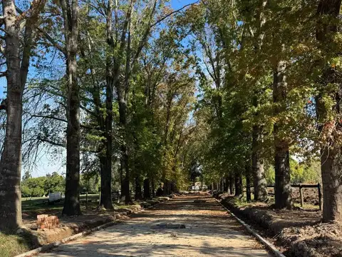 Terreno en Venta de 1000,0 m2