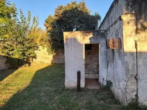 MAESTRA PIOVANO  al 1200