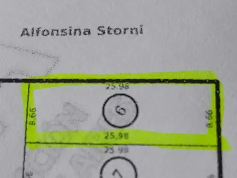 Alfonsina Storni 3700