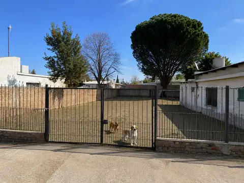 Terreno en Venta en Plottier, Confluencia