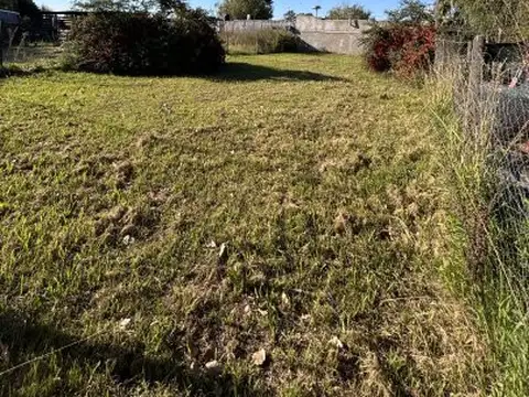 Juan Valente 244