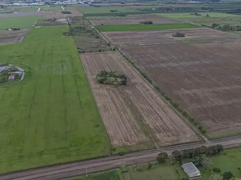 Venta fracción industrial en alvear 3,9 ha