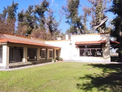 RUTA 7 100