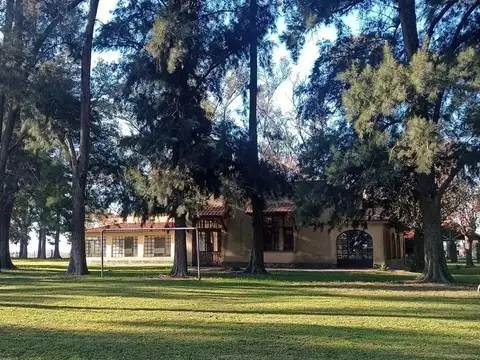 RUTA 7 100