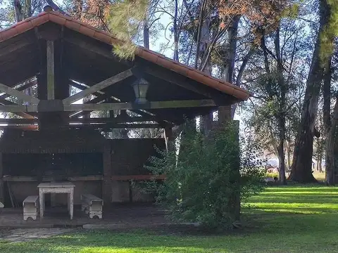 CAMPO EN VENTA - 46HA CORTÍNES, PROVINCIA DE BUENOS AIRES