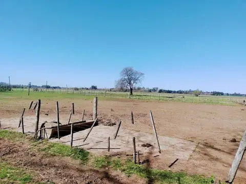 CAMPO EN VENTA - 46HA CORTÍNES, PROVINCIA DE BUENOS AIRES