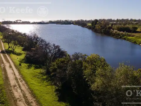 Terreno en Venta de 1001,0 m2