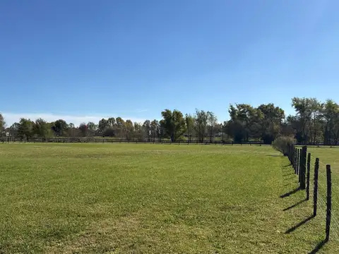 Terreno en Venta de 5005,0 m2