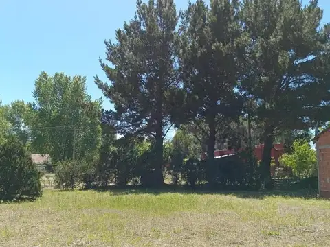 Lote Aguas verdes