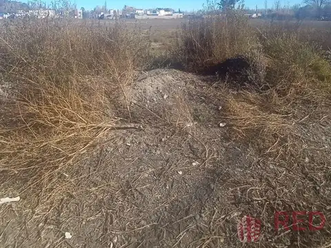 Terreno en Venta 10  mts Frente