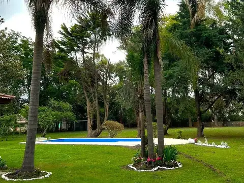El Pino y Las Glicinas 100