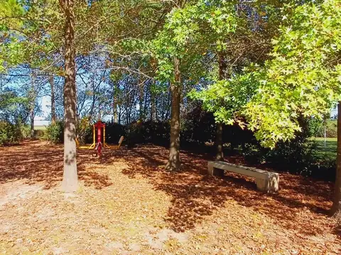 Terreno en Venta 31  mts Fondo