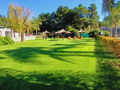 Terreno en Venta 31  mts Fondo