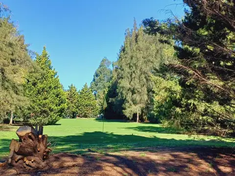Terreno en Venta en Pueblo Esther, USD 55.000