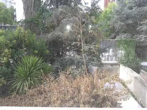 Departamento en Alquiler en Plaza Italia, $ 520.000