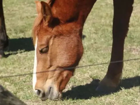 Terreno en Venta de 4158,0 m2