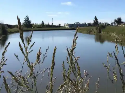 Terreno en Venta de 4158,0 m2