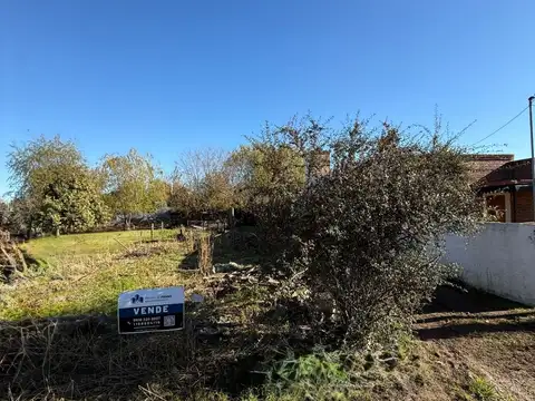 En venta lote sobre calle Córdoba, Capitan Sarmiento, Bs As 400