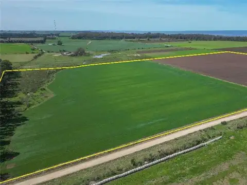 Campo en Venta de 16  ha