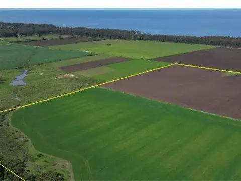 Campo en Venta Chacra