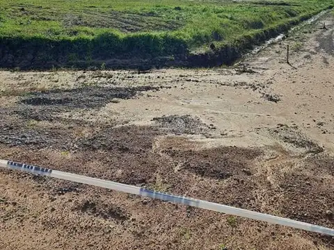 Beethoven-manzanares Sn 100