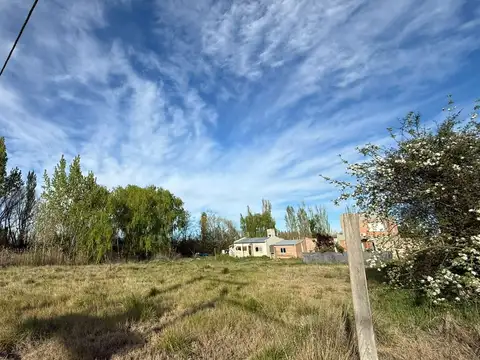 Terreno en venta - barrio diomedi - allen
