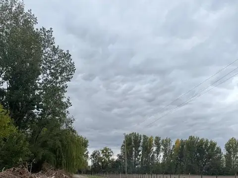 5 de octubre, Colonia las rosas, Tunuyan