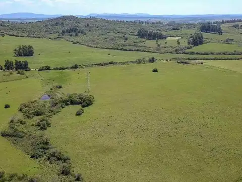 Chacras en venta 5 Has Lapataia Cmno. Benito Nardone ATM-242