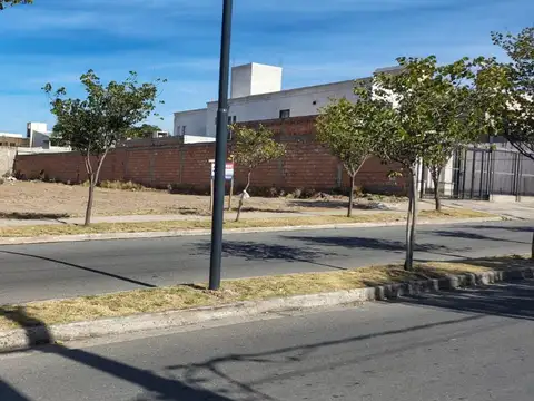 Intendente Lascano 1600