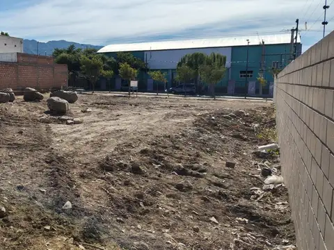 Intendente Lascano 1600