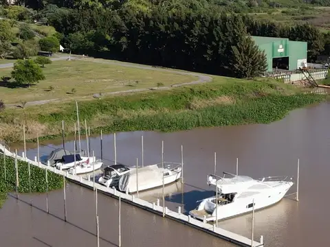 Azahares del Parana raices 100