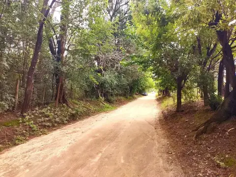 El Algarrobo