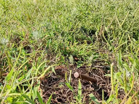 Terreno en Venta en Juarez Celman, USD 9.000