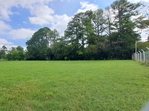 Terreno en Venta 42  mts Fondo