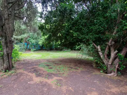 Terreno en Venta 12  mts Frente