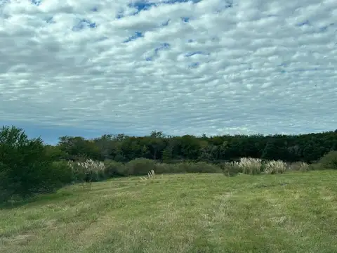 Solares del Carcaraña Lote 100