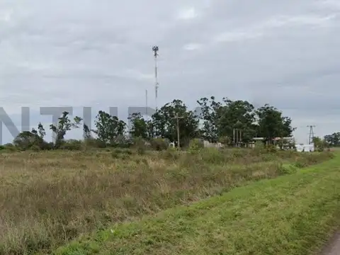 RUTA 27 100