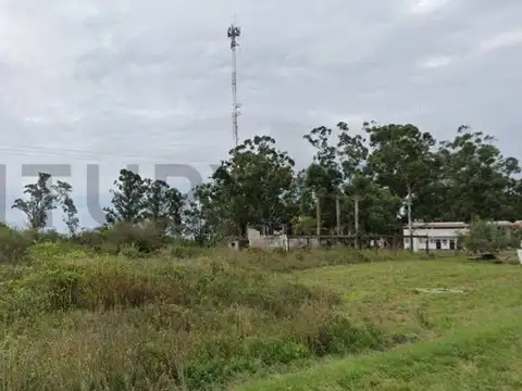 Campo en Venta de 3,94  ha