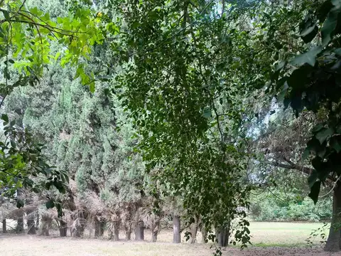 Campo en Venta Turistico