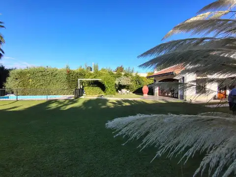 Lucas llanos 100